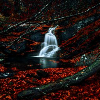 PC autumn dark wallpaper