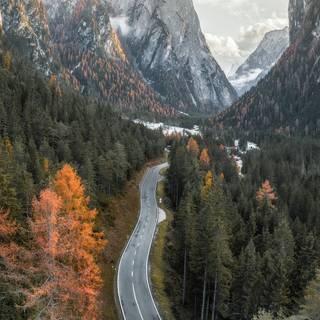 Autumn drone wallpaper