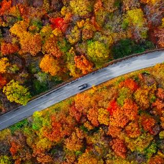 Autumn drone wallpaper