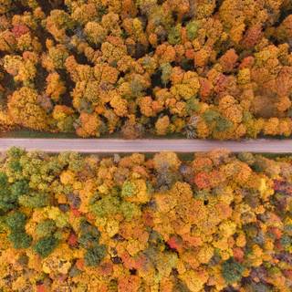 Autumn drone wallpaper