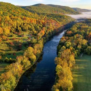 Autumn drone wallpaper