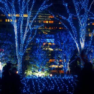 Tokyo winter wallpaper