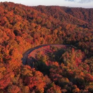 Autumn drone wallpaper