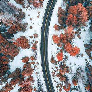 Autumn drone wallpaper