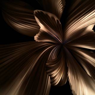 4k black and gold wallpaper