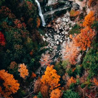 Autumn drone wallpaper