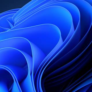 Illustration iPhone 11 wallpaper