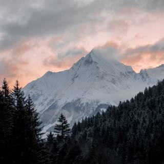 Forest mountain 4k wallpaper