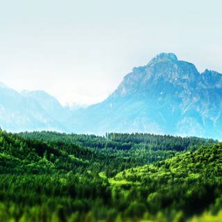 Forest mountain 4k wallpaper