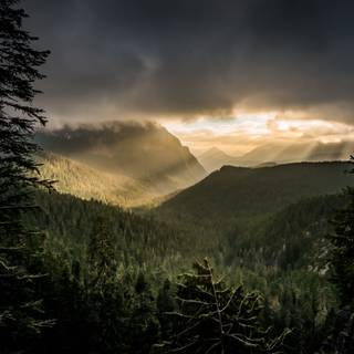 Forest mountain 4k wallpaper