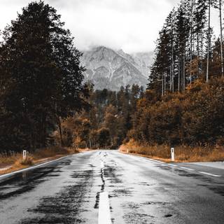 Forest mountain 4k wallpaper