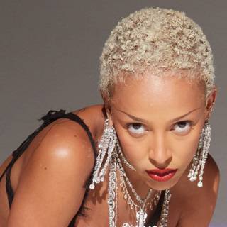 Doja Cat Paint The Town Red wallpaper