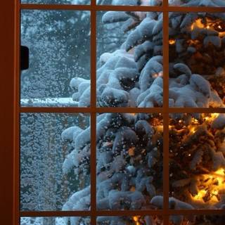 Winter mood wallpaper