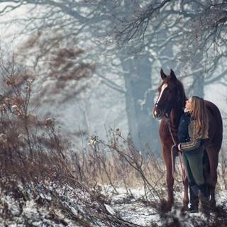 Winter mood wallpaper