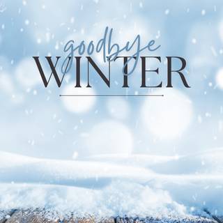 Winter mood wallpaper