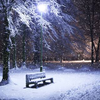 Winter night nature wallpaper