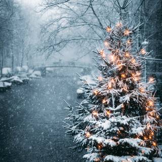 Winter mood wallpaper