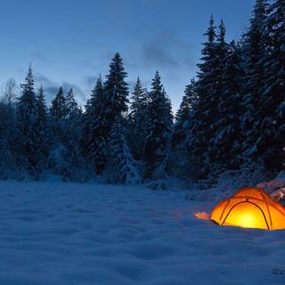 Winter camping wallpaper