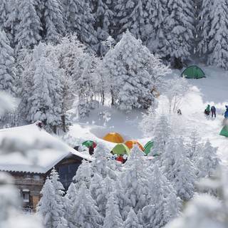 Winter camping wallpaper