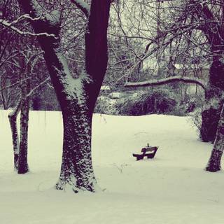 Winter mood wallpaper