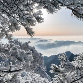 China winter wallpaper