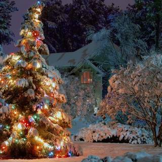 Winter holiday desktop wallpaper