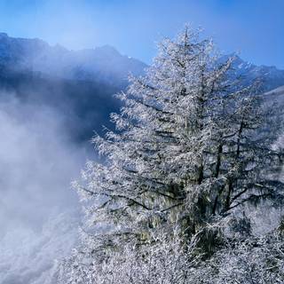China winter wallpaper