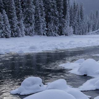 China winter wallpaper