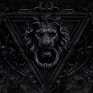 Lion 4k black wallpaper