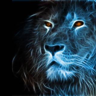 Lion 4k black wallpaper