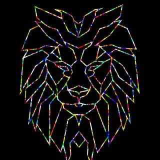 Lion 4k black wallpaper