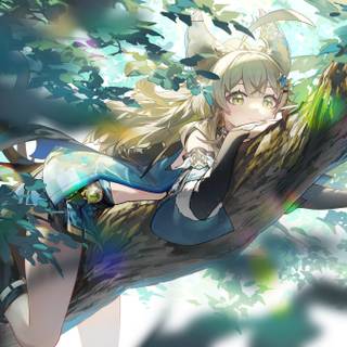 Kirara Genshin Impact wallpaper