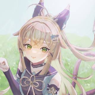 Kirara Genshin Impact wallpaper