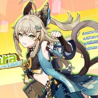 Kirara Genshin Impact wallpaper