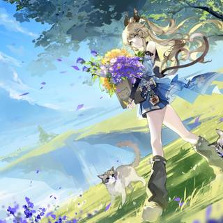 Kirara Genshin Impact wallpaper