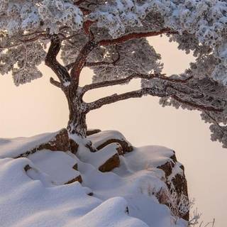 Seoul winter wallpaper