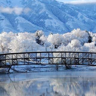 Winter bridge wallpaper