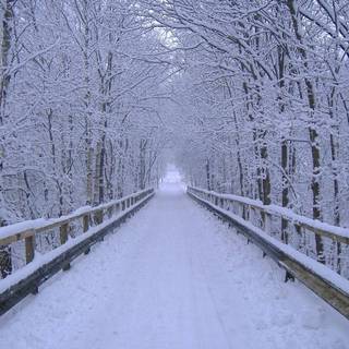 Winter bridge wallpaper