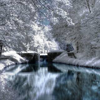Winter bridge wallpaper