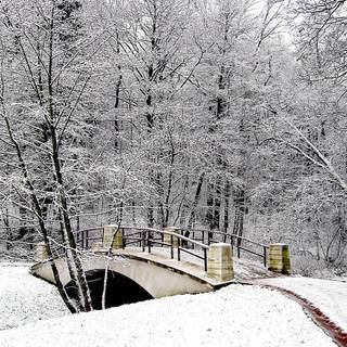 Winter bridge wallpaper
