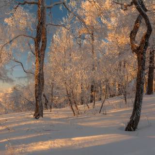 Russian winter wallpaper