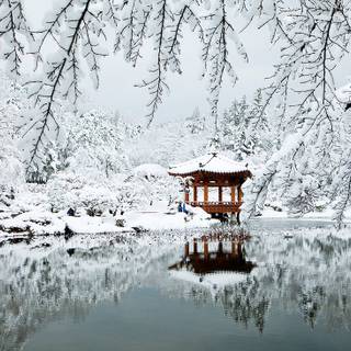 Seoul winter wallpaper