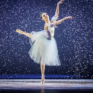 Classical dancer wallpaper