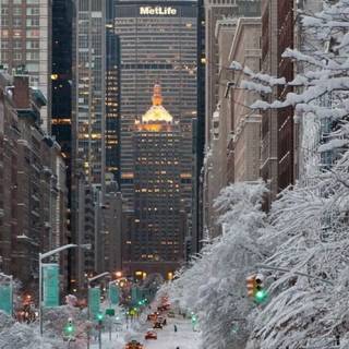 Winter USA wallpaper