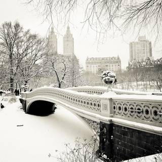 Winter USA wallpaper