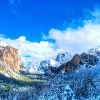 Winter USA wallpaper