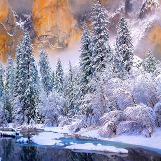 Winter USA wallpaper