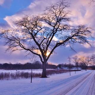 Winter USA wallpaper