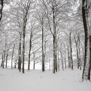 Winter England wallpaper