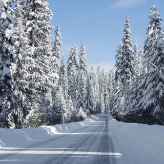 Winter USA wallpaper